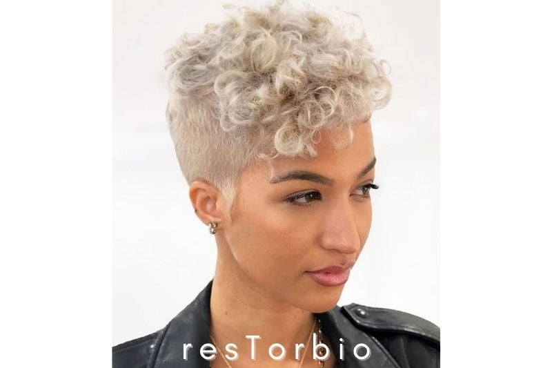 Curly top with shaved sides