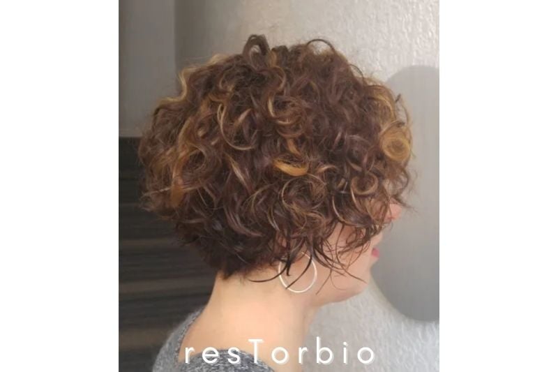Highlights for Brown Curly Hair