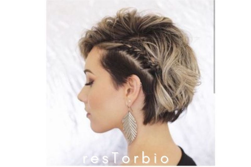 Short Curly Hairstyles with Braids