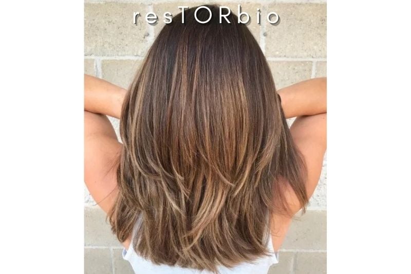 Medium Cut with Light Layers