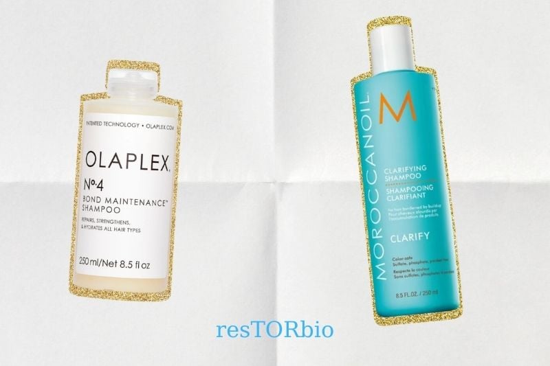 Olaplex vs Moroccan Oil Introductions