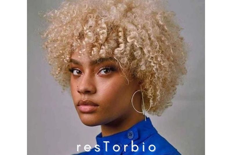 Blonde Afro Curly hair